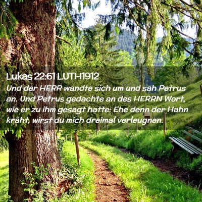 Picture 02 - Lukas 22:61 LUTH1912 - Und der HERR wandte sich um und sah Petrus an. - Bible Verse Picture