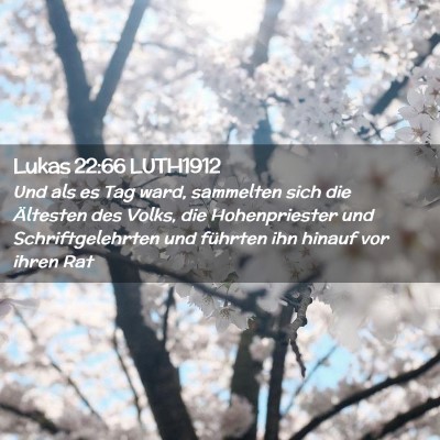 Picture 02 - Lukas 22:66 LUTH1912 - Und als es Tag ward, sammelten sich die Ältesten - Bible Verse Picture
