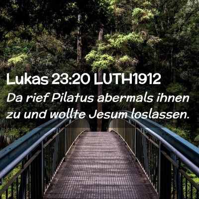 Picture 02 - Lukas 23:20 LUTH1912 - Da rief Pilatus abermals ihnen zu und wollte - Bible Verse Picture