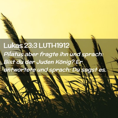 Picture 02 - Lukas 23:3 LUTH1912 - Pilatus aber fragte ihn und sprach: Bist du der - Bible Verse Picture