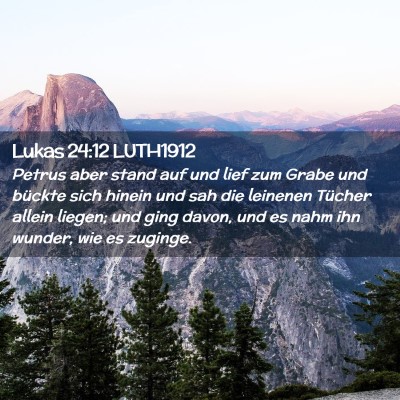 Picture 02 - Lukas 24:12 LUTH1912 - Petrus aber stand auf und lief zum Grabe und - Bible Verse Picture