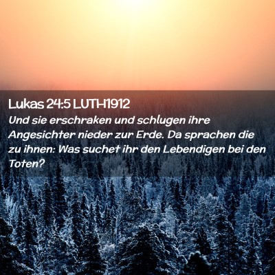 Picture 02 - Lukas 24:5 LUTH1912 - Und sie erschraken und schlugen ihre Angesichter - Bible Verse Picture