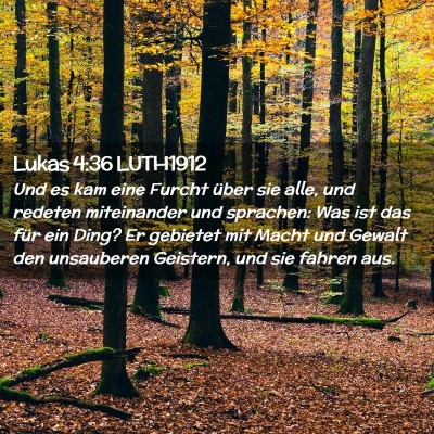 Picture 02 - Lukas 4:36 LUTH1912 - Und es kam eine Furcht über sie alle, und - Bible Verse Picture