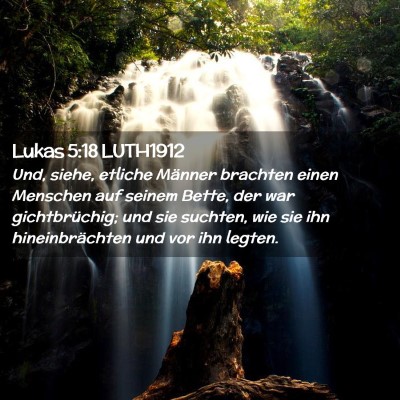 Picture 02 - Lukas 5:18 LUTH1912 - Und, siehe, etliche Männer brachten einen - Bible Verse Picture