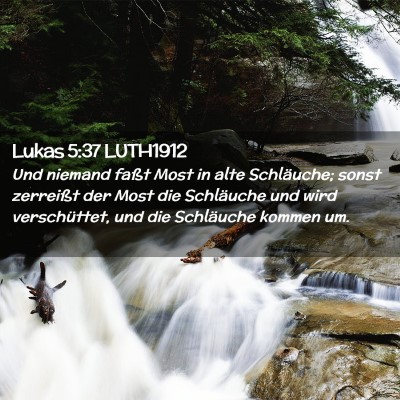 Picture 02 - Lukas 5:37 LUTH1912 - Und niemand faßt Most in alte Schläuche; sonst - Bible Verse Picture
