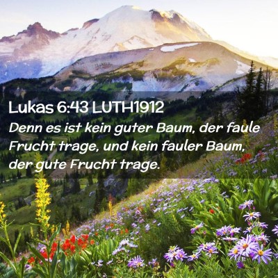 Picture 02 - Lukas 6:43 LUTH1912 - Denn es ist kein guter Baum, der faule Frucht - Bible Verse Picture