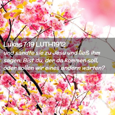 Picture 02 - Lukas 7:19 LUTH1912 - und sandte sie zu Jesu und ließ ihm sagen: Bist - Bible Verse Picture