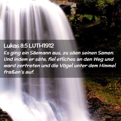 Picture 02 - Lukas 8:5 LUTH1912 - Es ging ein Säemann aus, zu säen seinen Samen. - Bible Verse Picture