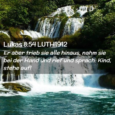 Picture 02 - Lukas 8:54 LUTH1912 - Er aber trieb sie alle hinaus, nahm sie bei der - Bible Verse Picture