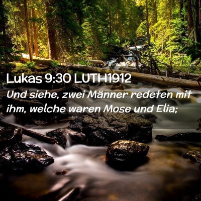 Picture 02 - Lukas 9:30 LUTH1912 - Und siehe, zwei Männer redeten mit ihm, welche - Bible Verse Picture