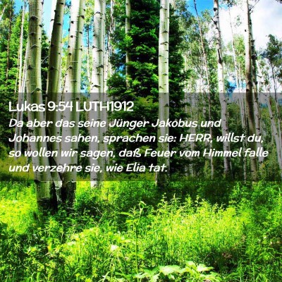 Picture 02 - Lukas 9:54 LUTH1912 - Da aber das seine Jünger Jakobus und Johannes - Bible Verse Picture