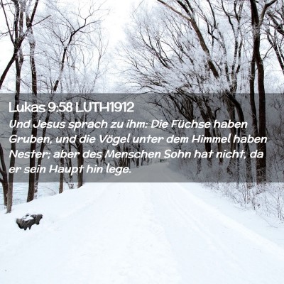 Picture 02 - Lukas 9:58 LUTH1912 - Und Jesus sprach zu ihm: Die Füchse haben - Bible Verse Picture