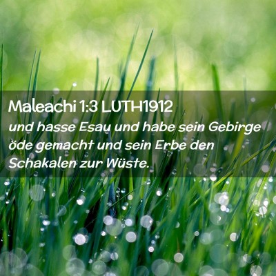 Picture 02 - Maleachi 1:3 LUTH1912 - und hasse Esau und habe sein Gebirge öde gemacht - Bible Verse Picture