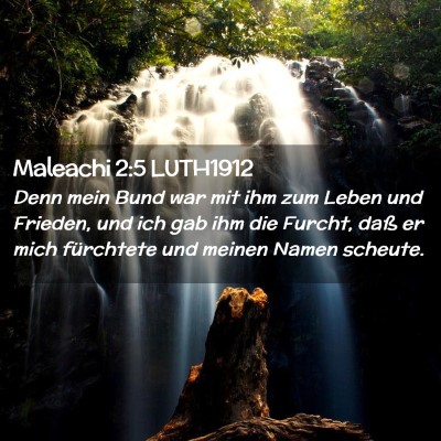 Picture 02 - Maleachi 2:5 LUTH1912 - Denn mein Bund war mit ihm zum Leben und Frieden, - Bible Verse Picture