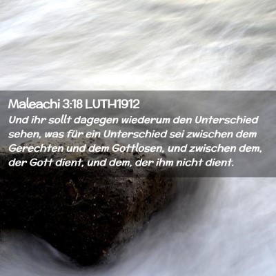 Picture 02 - Maleachi 3:18 LUTH1912 - Und ihr sollt dagegen wiederum den Unterschied - Bible Verse Picture