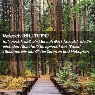 Picture 02 - Maleachi 3:8 LUTH1912 - Ist's recht, daß ein Mensch Gott täuscht, wie - Bible Verse Picture