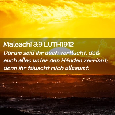 Picture 02 - Maleachi 3:9 LUTH1912 - Darum seid ihr auch verflucht, daß euch alles - Bible Verse Picture
