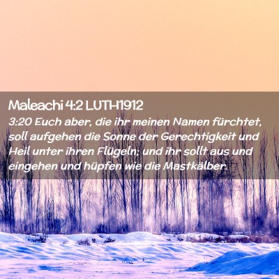 Picture 02 - Maleachi 4:2 LUTH1912 - 3:20 Euch aber, die ihr meinen Namen fürchtet, - Bible Verse Picture