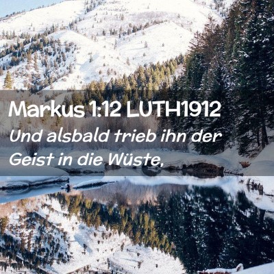 Picture 02 - Markus 1:12 LUTH1912 - Und alsbald trieb ihn der Geist in die - Bible Verse Picture