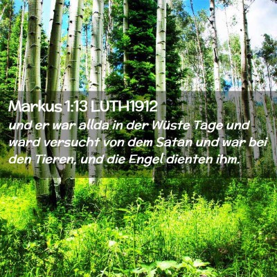 Picture 02 - Markus 1:13 LUTH1912 - und er war allda in der Wüste Tage und ward - Bible Verse Picture