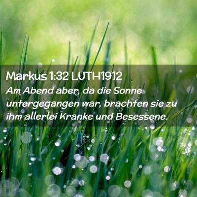 Picture 02 - Markus 1:32 LUTH1912 - Am Abend aber, da die Sonne untergegangen war, - Bible Verse Picture