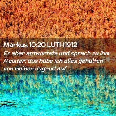 Picture 02 - Markus 10:20 LUTH1912 - Er aber antwortete und sprach zu ihm: Meister, - Bible Verse Picture