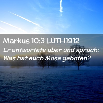 Picture 02 - Markus 10:3 LUTH1912 - Er antwortete aber und sprach: Was hat euch Mose - Bible Verse Picture