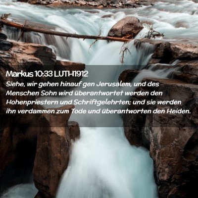 Picture 02 - Markus 10:33 LUTH1912 - Siehe, wir gehen hinauf gen Jerusalem, und des - Bible Verse Picture