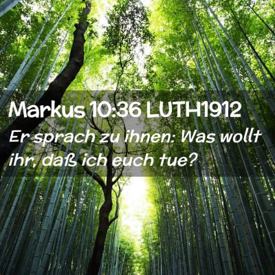 Picture 02 - Markus 10:36 LUTH1912 - Er sprach zu ihnen: Was wollt ihr, daß ich euch - Bible Verse Picture