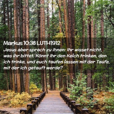 Picture 02 - Markus 10:38 LUTH1912 - Jesus aber sprach zu ihnen: Ihr wisset nicht, was - Bible Verse Picture