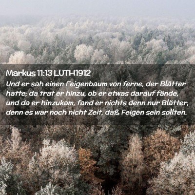 Picture 02 - Markus 11:13 LUTH1912 - Und er sah einen Feigenbaum von ferne, der - Bible Verse Picture
