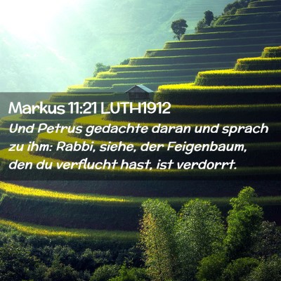 Picture 02 - Markus 11:21 LUTH1912 - Und Petrus gedachte daran und sprach zu ihm: - Bible Verse Picture