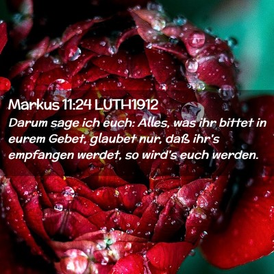 Picture 02 - Markus 11:24 LUTH1912 - Darum sage ich euch: Alles, was ihr bittet in - Bible Verse Picture
