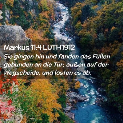 Picture 02 - Markus 11:4 LUTH1912 - Sie gingen hin und fanden das Füllen gebunden an - Bible Verse Picture