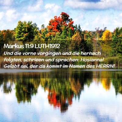 Picture 02 - Markus 11:9 LUTH1912 - Und die vorne vorgingen und die hernach folgten, - Bible Verse Picture