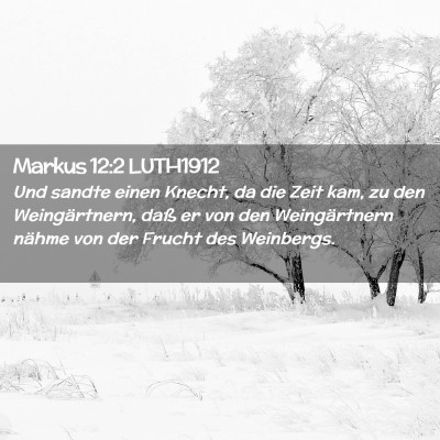 Picture 02 - Markus 12:2 LUTH1912 - Und sandte einen Knecht, da die Zeit kam, zu den - Bible Verse Picture