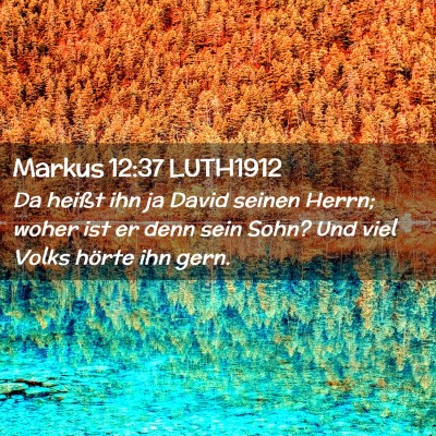 Picture 02 - Markus 12:37 LUTH1912 - Da heißt ihn ja David seinen Herrn; woher ist er - Bible Verse Picture