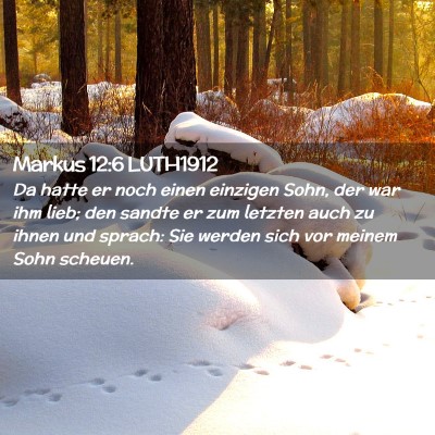 Picture 02 - Markus 12:6 LUTH1912 - Da hatte er noch einen einzigen Sohn, der war ihm - Bible Verse Picture