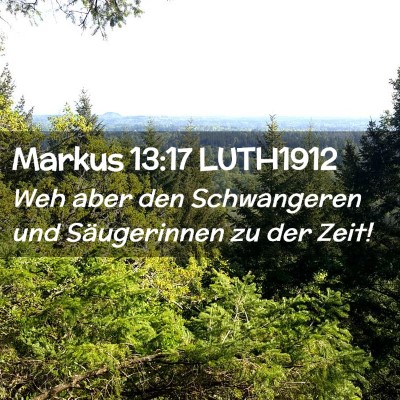 Picture 02 - Markus 13:17 LUTH1912 - Weh aber den Schwangeren und Säugerinnen zu der - Bible Verse Picture