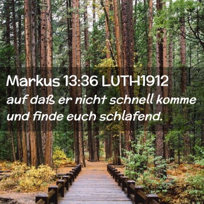 Picture 02 - Markus 13:36 LUTH1912 - auf daß er nicht schnell komme und finde euch - Bible Verse Picture