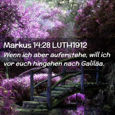 Picture 02 - Markus 14:28 LUTH1912 - Wenn ich aber auferstehe, will ich vor euch - Bible Verse Picture