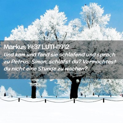 Picture 02 - Markus 14:37 LUTH1912 - Und kam und fand sie schlafend und sprach zu - Bible Verse Picture