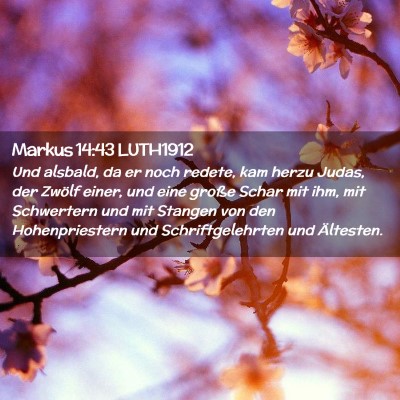 Picture 02 - Markus 14:43 LUTH1912 - Und alsbald, da er noch redete, kam herzu Judas, - Bible Verse Picture