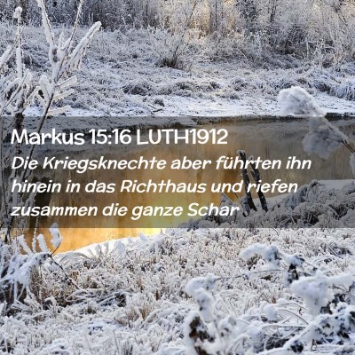Picture 02 - Markus 15:16 LUTH1912 - Die Kriegsknechte aber führten ihn hinein in das - Bible Verse Picture