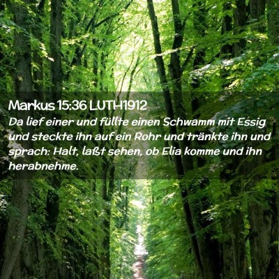 Picture 02 - Markus 15:36 LUTH1912 - Da lief einer und füllte einen Schwamm mit Essig - Bible Verse Picture