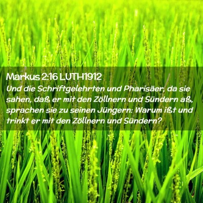 Picture 02 - Markus 2:16 LUTH1912 - Und die Schriftgelehrten und Pharisäer, da sie - Bible Verse Picture