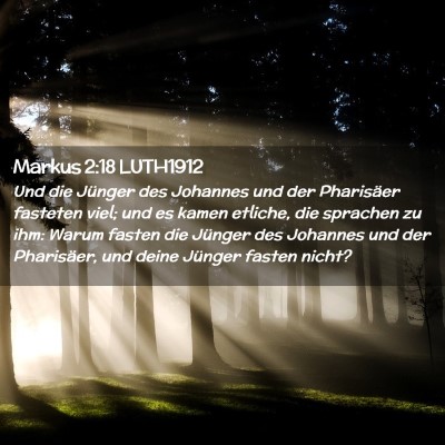 Picture 02 - Markus 2:18 LUTH1912 - Und die Jünger des Johannes und der Pharisäer - Bible Verse Picture