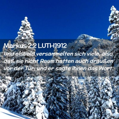 Picture 02 - Markus 2:2 LUTH1912 - Und alsbald versammelten sich viele, also daß - Bible Verse Picture