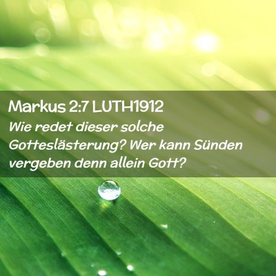 Picture 02 - Markus 2:7 LUTH1912 - Wie redet dieser solche Gotteslästerung? Wer - Bible Verse Picture