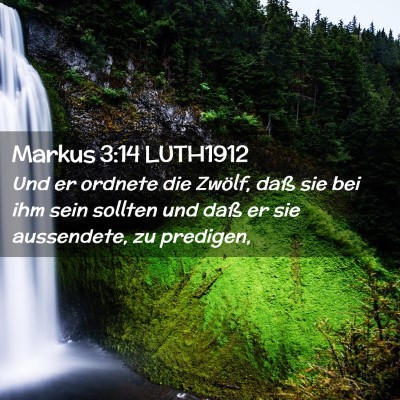 Picture 02 - Markus 3:14 LUTH1912 - Und er ordnete die Zwölf, daß sie bei ihm sein - Bible Verse Picture